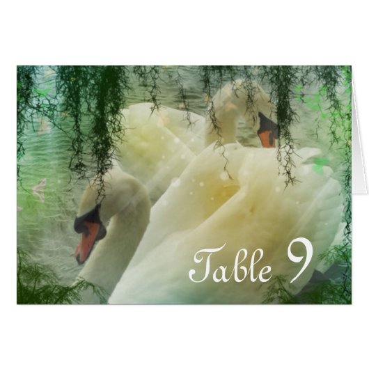 élégant mariage de cygne blanc du lac d'été (Devant Horizontal)