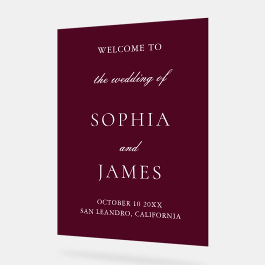 Élégant Mariage minimaliste de Bourgogne (Angle)