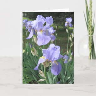 Elegant Modern Paarse Iris Flowers Foto krijgt een Kaart