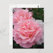 Elegant Modern Roze Rozen Briefkaart (Voorkant / Achterkant)