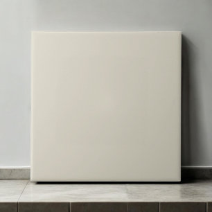 Elegant monochroom porselein modern minimalistisch tegeltje
