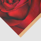 Elegant Muziek Rood Rozenpapier Tissuepapier (Detail)