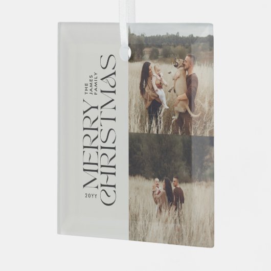 Elegant natuurlijk gebladerte moderne minimale mul glas ornament (Voorkant links)