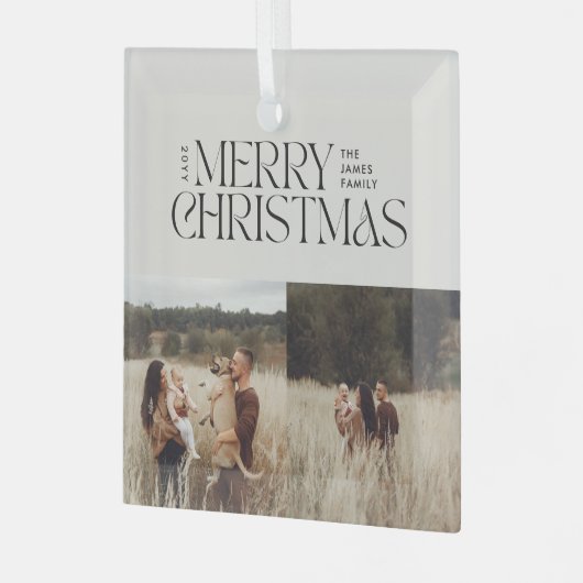 Elegant natuurlijk gebladerte moderne minimale mul glas ornament (Voorkant links)