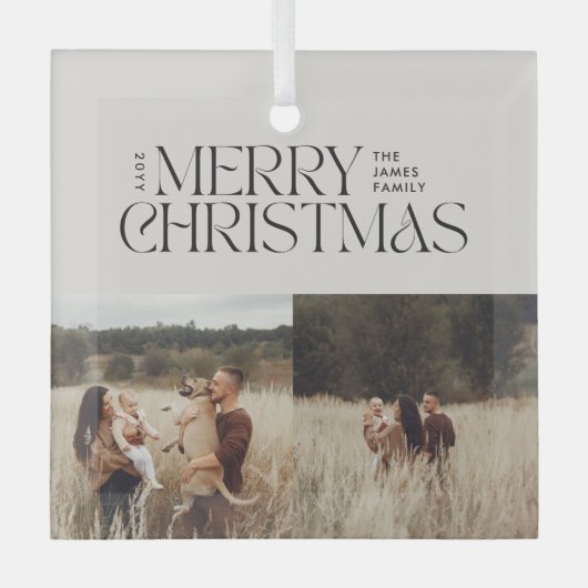 Elegant natuurlijk gebladerte moderne minimale mul glas ornament (Voorkant)