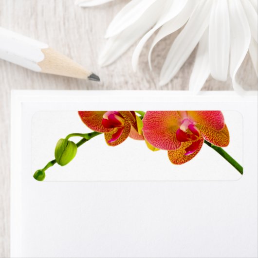 Elegant Oranje Orchids Aangepast blanco labels (Insitu)