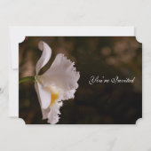 Elégant orchidée ivoire Faire-part de mariage de t (Devant)