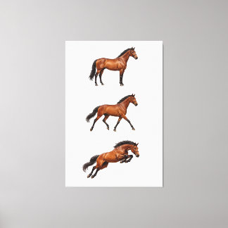 Elegant Paard Muurkunst Poster Canvas Afdruk