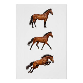 Elegant Paard Muurkunst Poster Perfect Poster