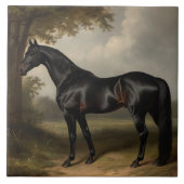 Elegant  paardenpestrisch schilderen tegeltje (Voorkant)