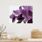 Elegant Paars Cattleya Orchids Poster (Keuken)