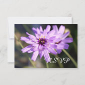 Elegant,  paars dagblad rsvp (Achterkant)