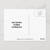 Elegant Paars Dove  Briefkaart (Achterkant)