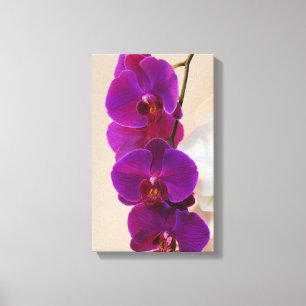Elegant Paars Orchid Wrapped Canvas Afdruk