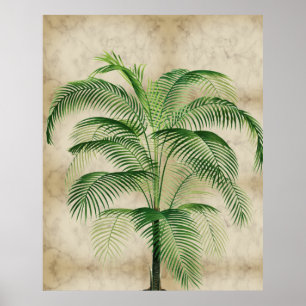 Elegant Palm Tree Tropische marmer Poster