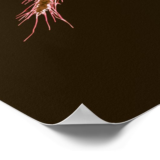 Elegant Peach Sunflower Artwork | POSTER (Hoek)