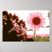 Elegant Peach Sunflower Artwork | POSTER (Voorkant)