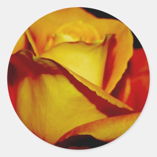 Elegant Peach Wedding Envelope zegels en stickers (Voorkant)