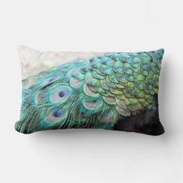 Elegant Peacock Feathers Lumbar Sierkussen Kussen