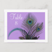Elegant Peacock Table Number - witte grens Briefkaart (Voorkant)
