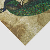 Elegant Peacock Tissuepapier (Detail)