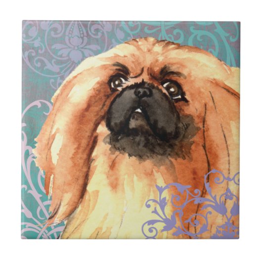 Elegant Pekingese Tegeltje (Voorkant)