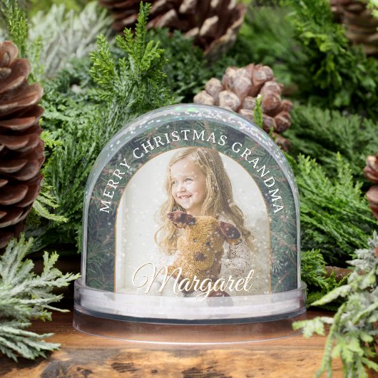 Elegant Pine Border Photo Snow Globe (Hiver)