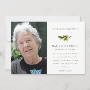 Elegant Pine Branch Fauna Fotosympathie Memorial Bedankkaart