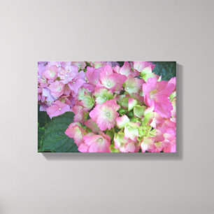 Elegant Pink Hydrangeas Canvas Afdruk
