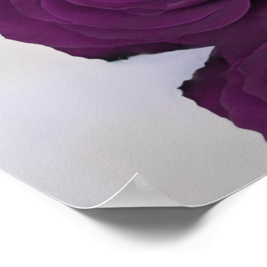 Élégant Plum violet Rose 13 Tableau de siège (Coin)