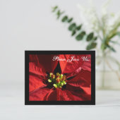 Elégant Poinsettia Invitations de Noël de Noël de  (Debout devant)