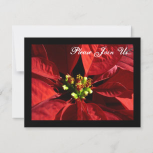 Elégant Poinsettia Invitations de Noël de Noël de
