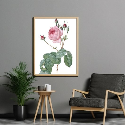 Elégant Poster d'Art Botanique Rose Rose Vintage