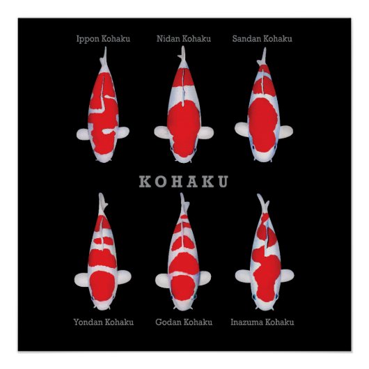 Elégant Poster de Poisson Koi - Déco Artistique et (Devant)
