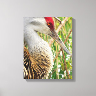 Elegant profiel van een grote zandheuvelkraan canvas afdruk