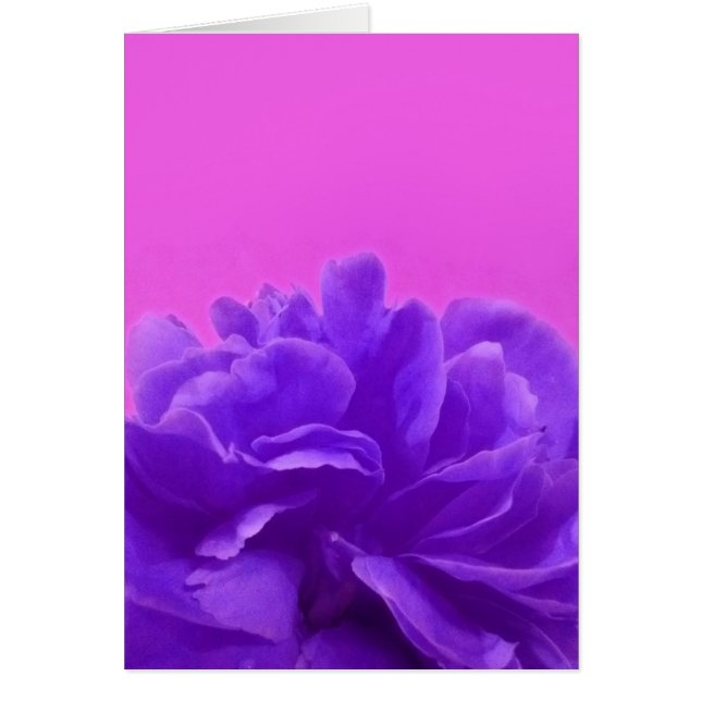 Elegant Purple Raspberry Floral (Devant)