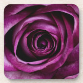 Elegant Purple Rose Close Up Bier Onderzetter (Voorkant)