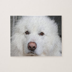 Élégant puzzle de Chien des grandes Pyrénées b