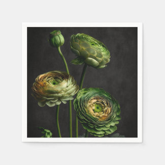 Elegant Ranunculus. Servet
