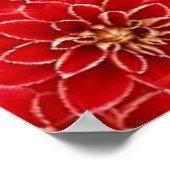 Elegant Red Floral Pattern Poster (Hoek)