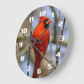 Elegant Red Kardinaal Grote Klok (Hoek)