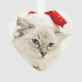 Elegant Red Pet Memorial Foto Keepslag Ornament (voorkant)