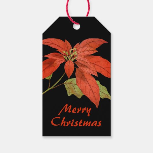 Elegant Red Poinsettia over zwart Cadeaulabel (Voorkant)