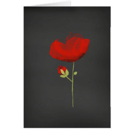 Elegant Red Poppy over zwart