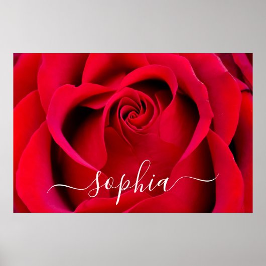 Elegant Red Rose Flower Photo Add Name Poster (Voorkant)