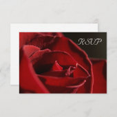 Elegant Red Rose Wedding RSVP Response Kaart (Voorkant / Achterkant)