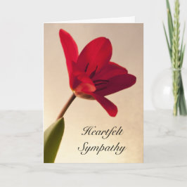 Elegant Red Tulip Sympathie Kaart