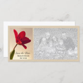 Elegant Red Tulip Wedding Save the Date (Voorkant / Achterkant)