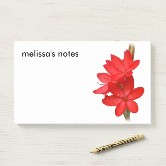 Elegant River Lily/Hesperantha Coccinea Post-it® Notes (Op bureau)