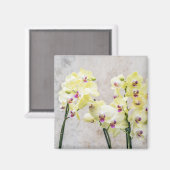 Elegant Romantic Cream & Lila Orchids Magneet (Voorkant / Achterkant)